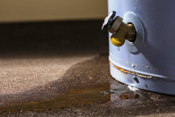 Best Local water damage restoration  in Campbellsport, WI