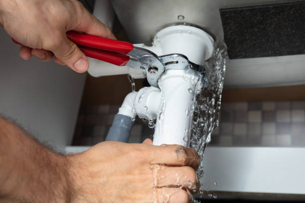 Best Mold removal after water damage  in Campbellsport, WI