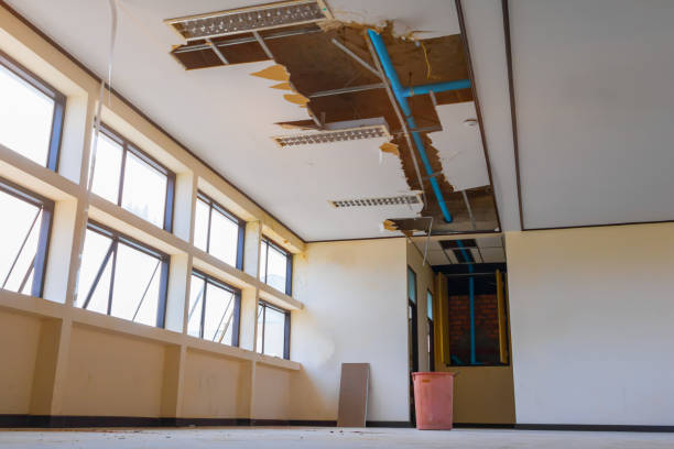 Best Water damage restoration near me  in Campbellsport, WI