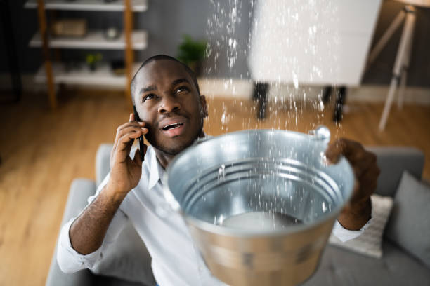 Best Professional water damage repair  in Campbellsport, WI