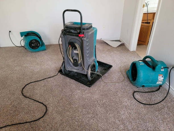 Best Flood restoration services  in Campbellsport, WI