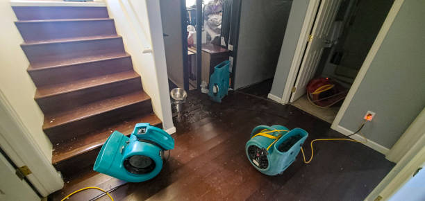 Best Commercial water damage restoration  in Campbellsport, WI