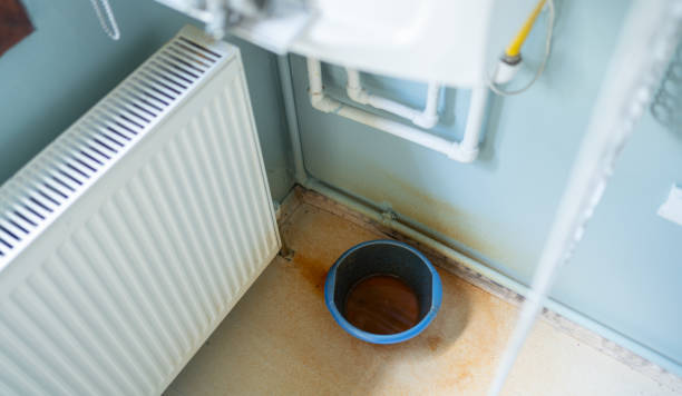 Best Flood restoration services  in Campbellsport, WI