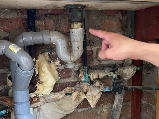 Best Residential water damage restoration  in Campbellsport, WI