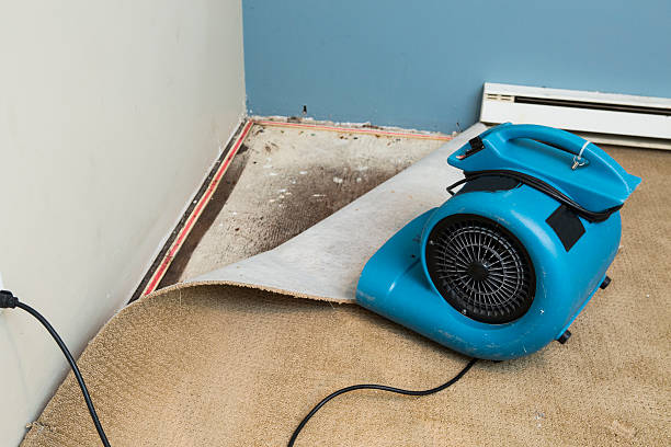 Best 24-hour water damage restoration  in Campbellsport, WI